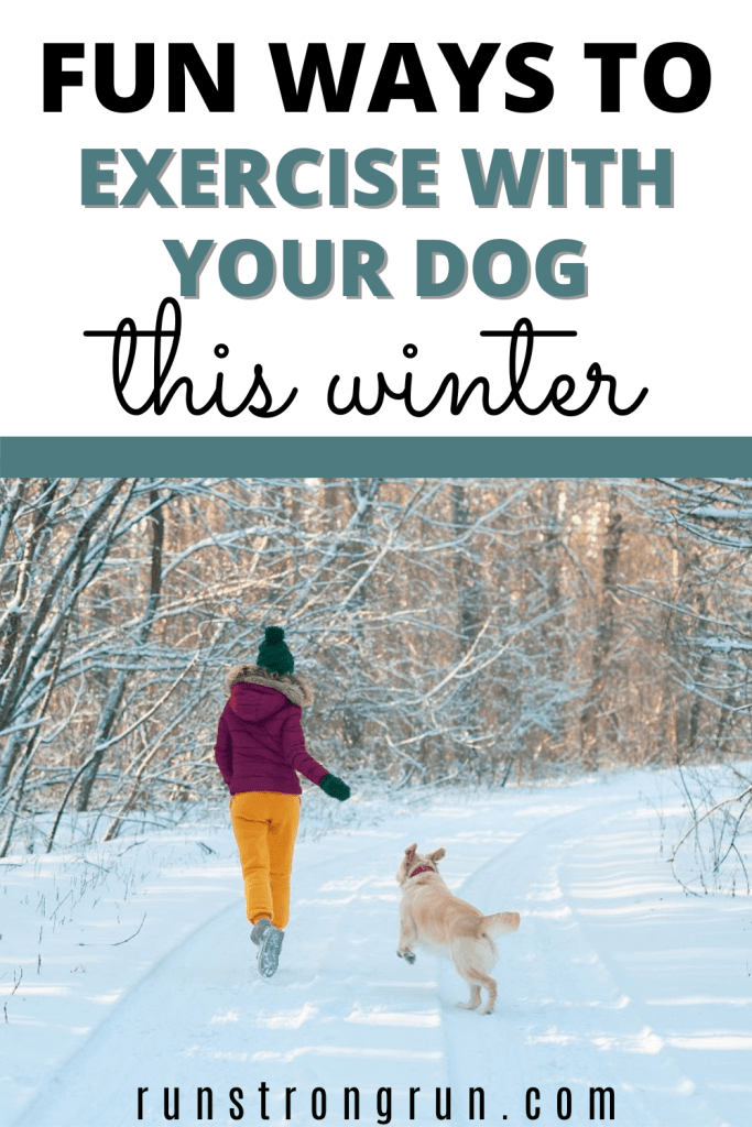 Fun Ways To Exercise With Your Dog in the Winter
